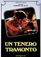 Un Tenero Tramonto (1984) Nude Scenes