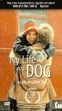 My Life as a Dog 1985 movie nude scenes