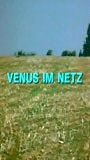 Venus im Netz movie nude scenes