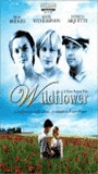 Wildflower (1999) Nude Scenes