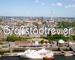 Großstadtrevier tv-show nude scenes